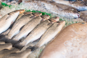 Pescadería España