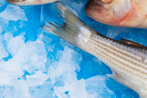 Pescadería tradicional en Donostia