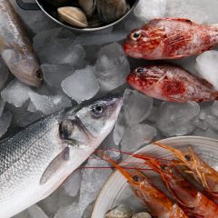 Entrega pescado fresco Donostia